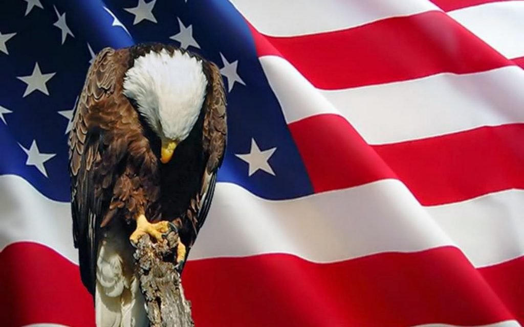 Thank You For Your Service Memorial Day Deals For Veterans Veterans News Report