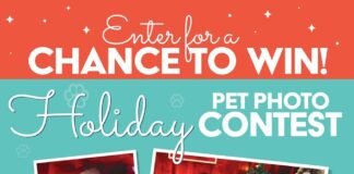 Military shoppers can show off Santa’s little yelpers and enter for a chance to win a prize in the Army & Air Force Exchange Service’s holiday pet photo contest.